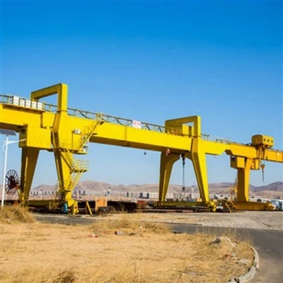 Tvöfaldur gantry krani 100 tonn